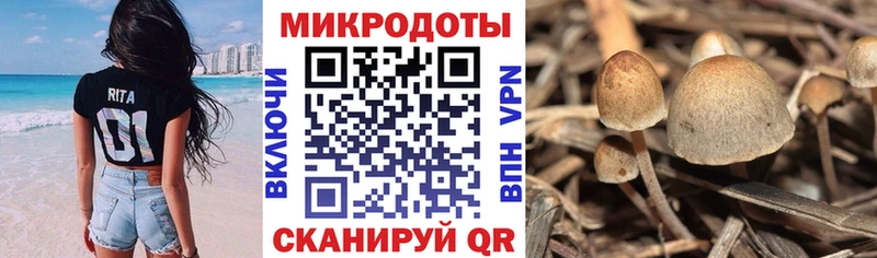 сайты даркнета как зайти  Фокино  Галлюциногенные грибы мицелий  что такое наркотик 